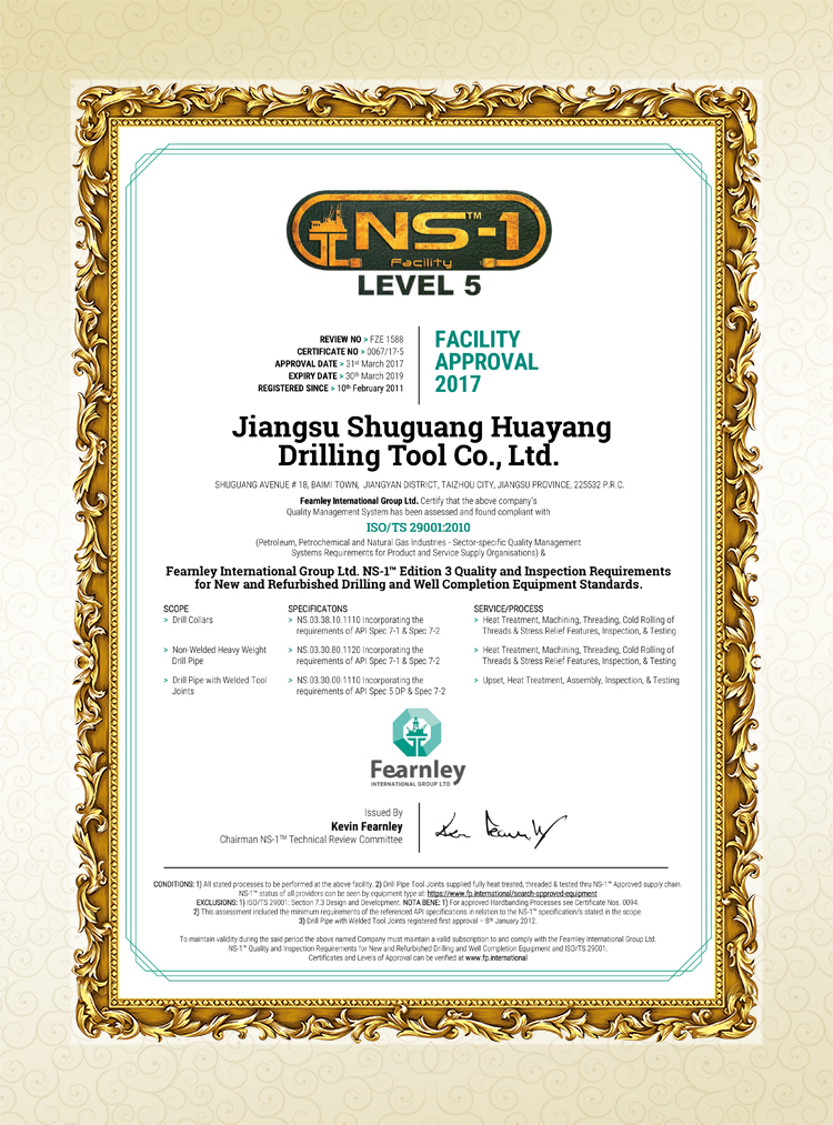 NS-1 Level 